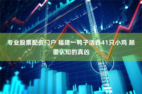 专业股票配资门户 福建一鸭子活吞41只小鸡 颠覆认知的真凶