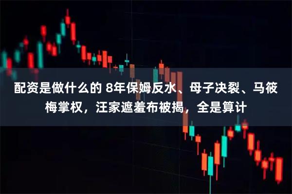 配资是做什么的 8年保姆反水、母子决裂、马筱梅掌权，汪家遮羞布被揭，全是算计